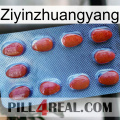 Ziyinzhuangyang 06